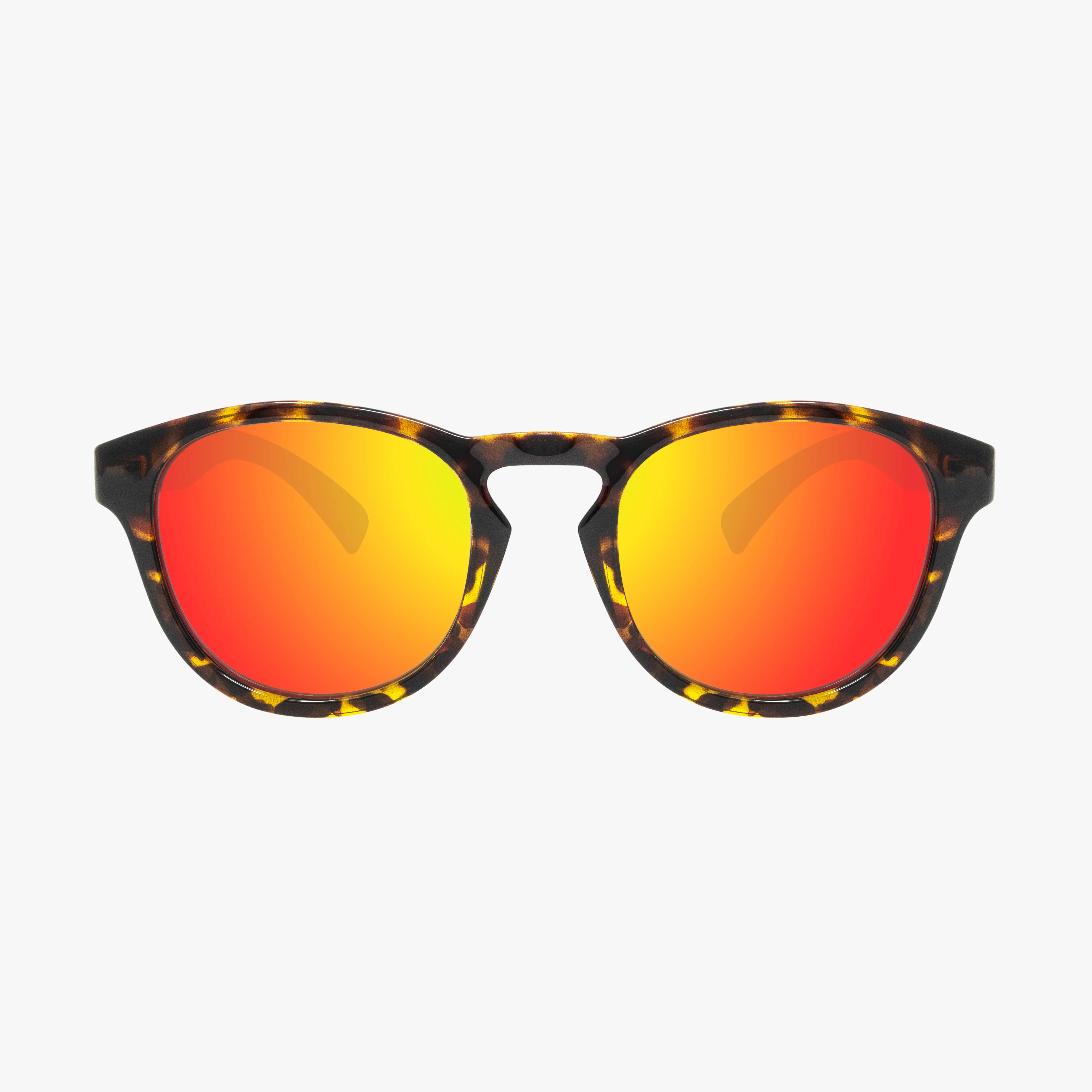 PROTOM - Image 3